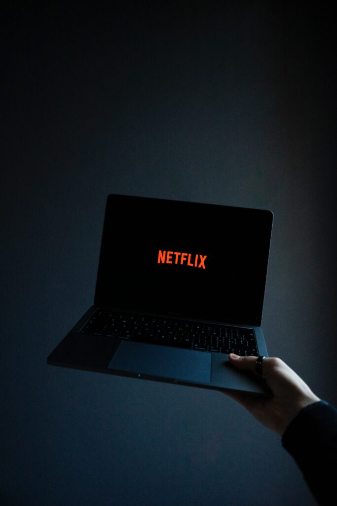 Keine Regeln: Warum Netflix so erfolgreich ist - Sadin Kurbegovic